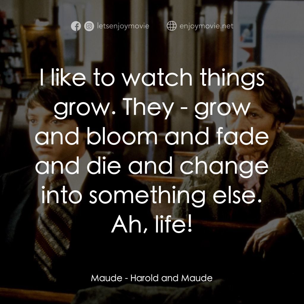 哈洛與茂德電影對白：Maude: I like to watch things grow. They - grow and bloom and fade and die and ch