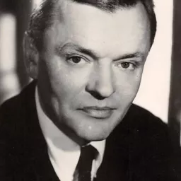 Peter van Eyck 飾演 US-Colonel