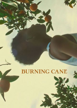 《Burning Cane》電影海報