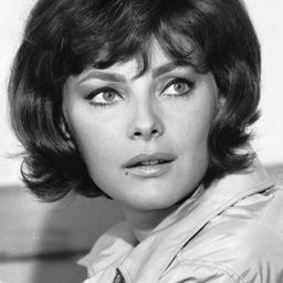 Virna Lisi 飾演 Irene Mazzoni