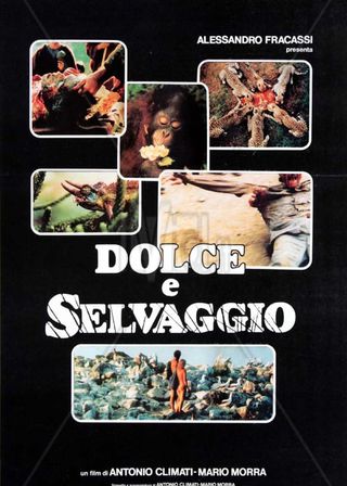 《Sweet and Savage》電影海報