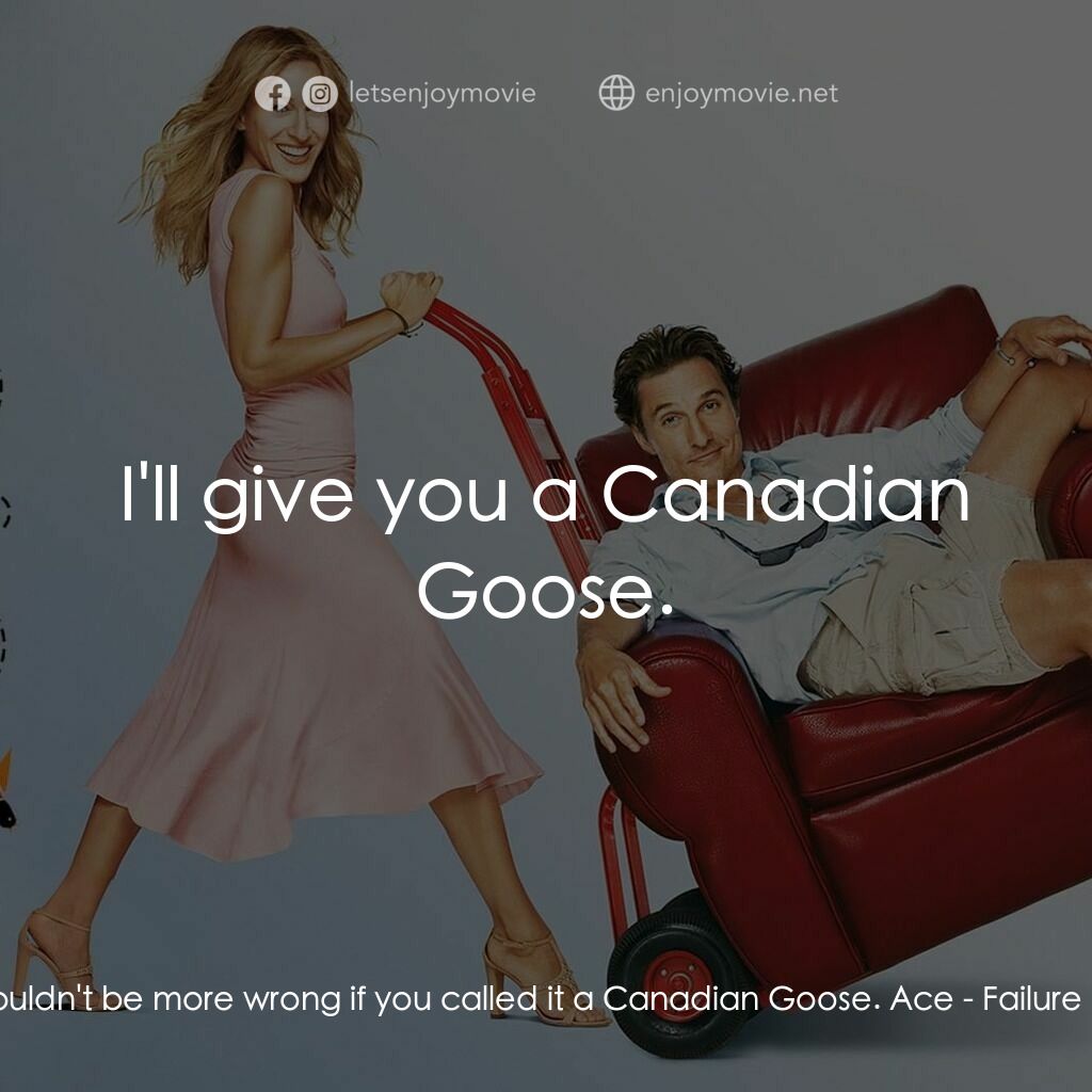 踢走住家男電影對白：Kit:  You couldn't be more wrong if you called it a Canadian Goose. Ace:  I'll gi