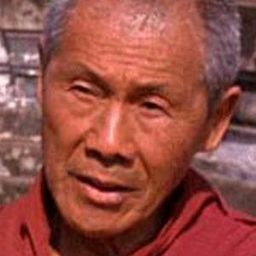 Lloyd Kino 飾演 Inspector Chen