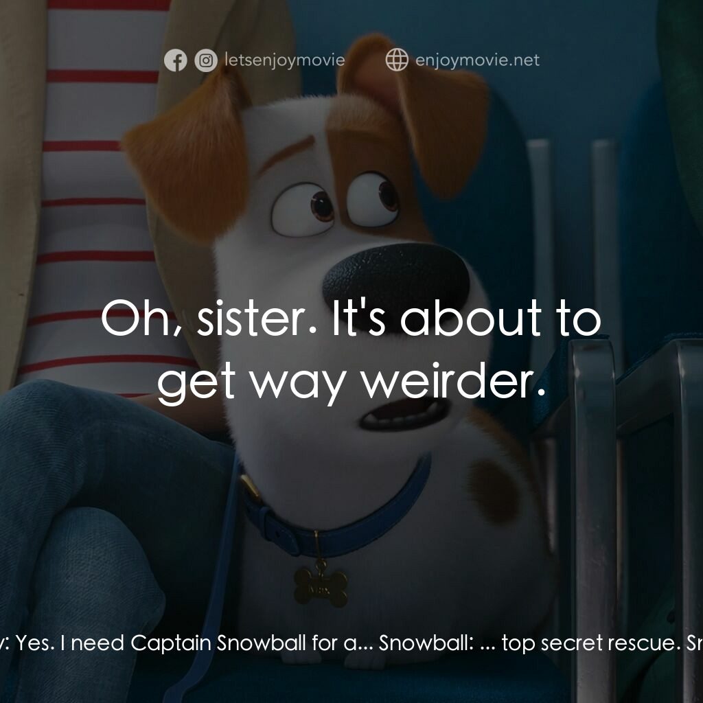 Pet Pet當家 2電影對白：Daisy:  Excuse me, rabbit, cat, do any of you know Captain Snowball? Snowball:  Y