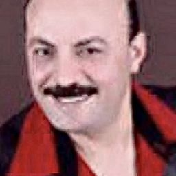 Magdi Abdel Bari - 678演員 飾演