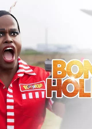 《歡迎來到荷蘭》電影海報