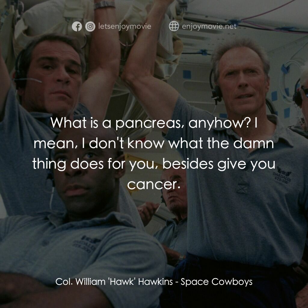 太空大哥大電影對白：Col. William 'Hawk' Hawkins:  What is a pancreas, anyhow? I mean, I don't know wh