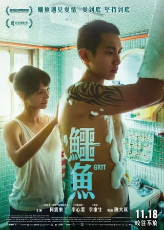 電影的資料