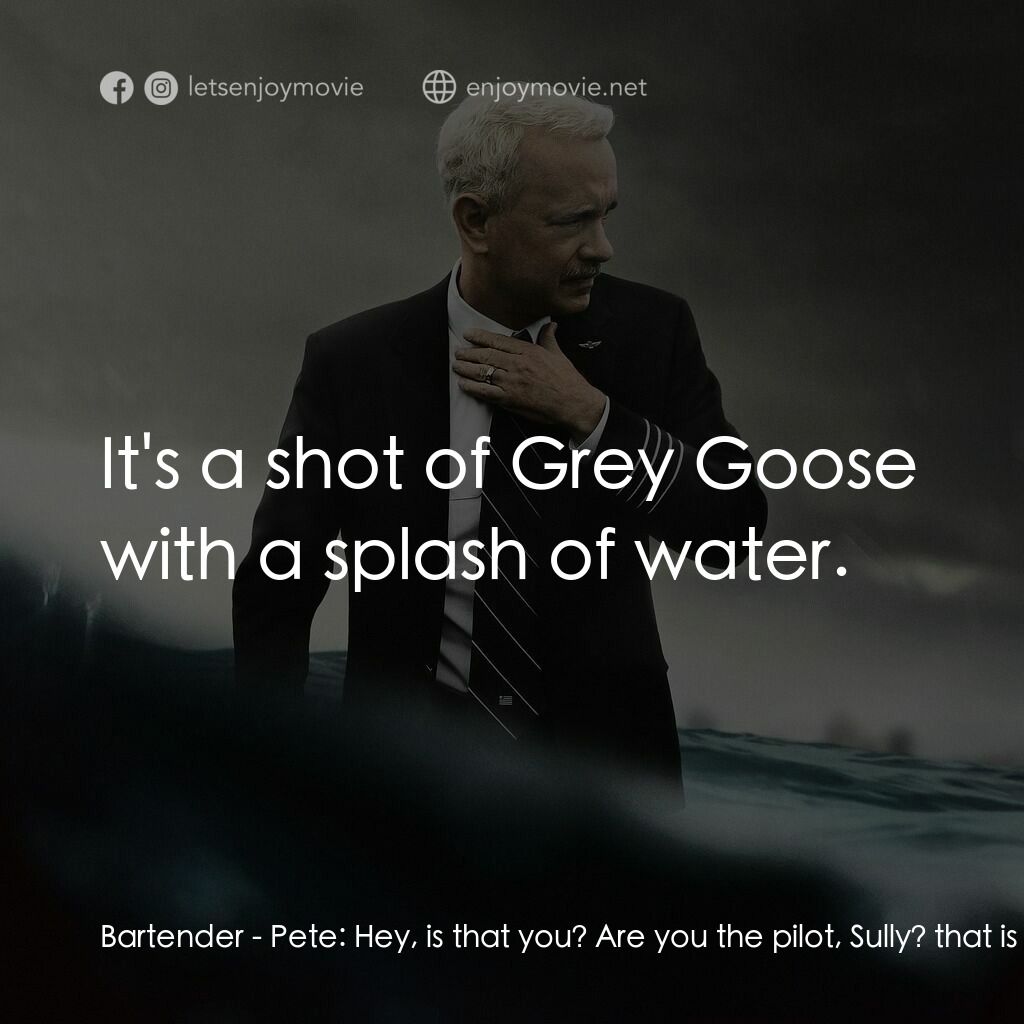 薩利機長：哈德遜奇蹟電影對白：Bartender - Pete:  Hey, is that you? Are you the pilot, Sully? that is you, right