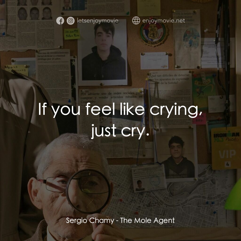 臨時偵探無限耆電影對白：Sergio Chamy:  If you feel like crying, just cry.