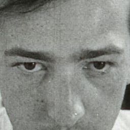 David Bienstock - Come Together編劇