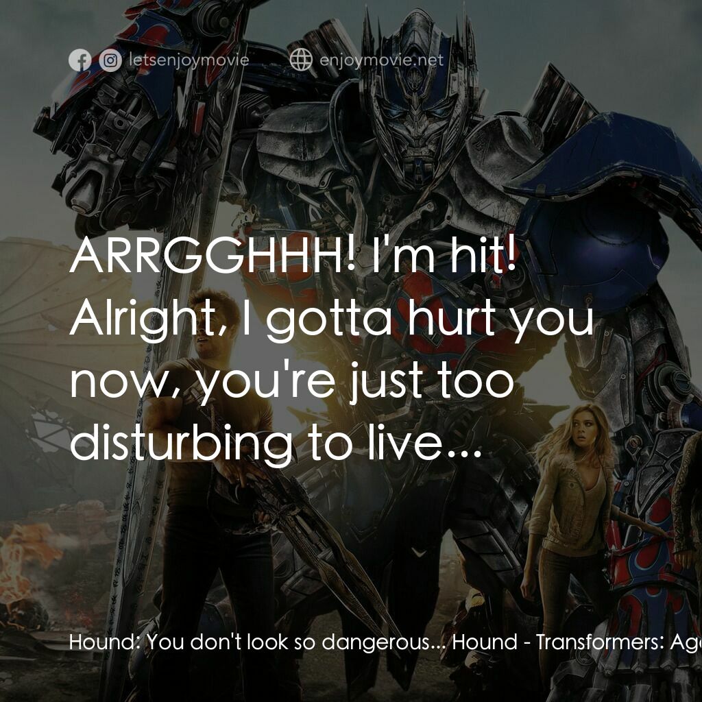 變形金剛：殲滅世紀電影對白：Hound:  You don't look so dangerous... Hound:  ARRGGHHH! I'm hit! Alright, I gott
