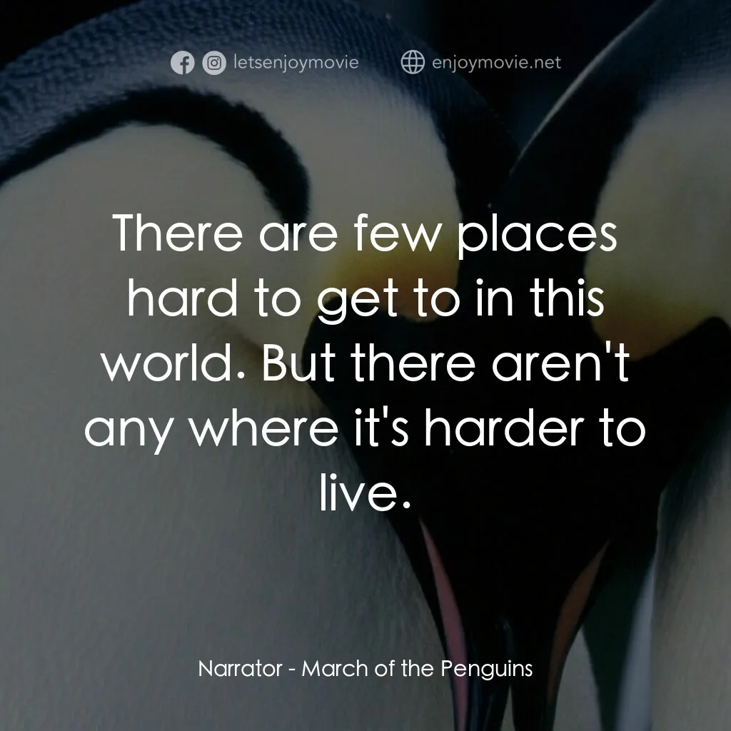 《小企鵝大長征》經典台詞：Narrator:  There are few places hard to get to in  ...