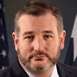 Ted Cruz 飾演 Self