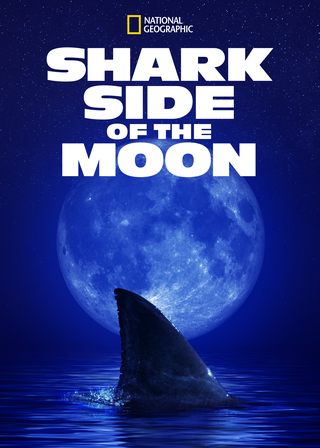 《月之鯊途》電影海報