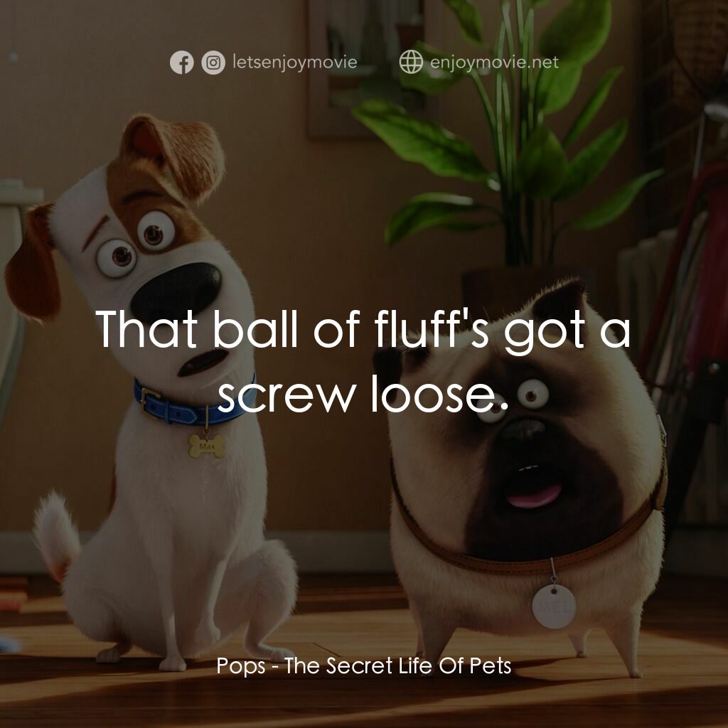 寵物當家電影對白：Pops:  That ball of fluff's got a screw loose.
