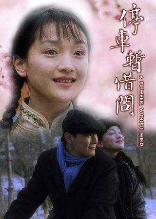 《煙雨紅顏》電影海報