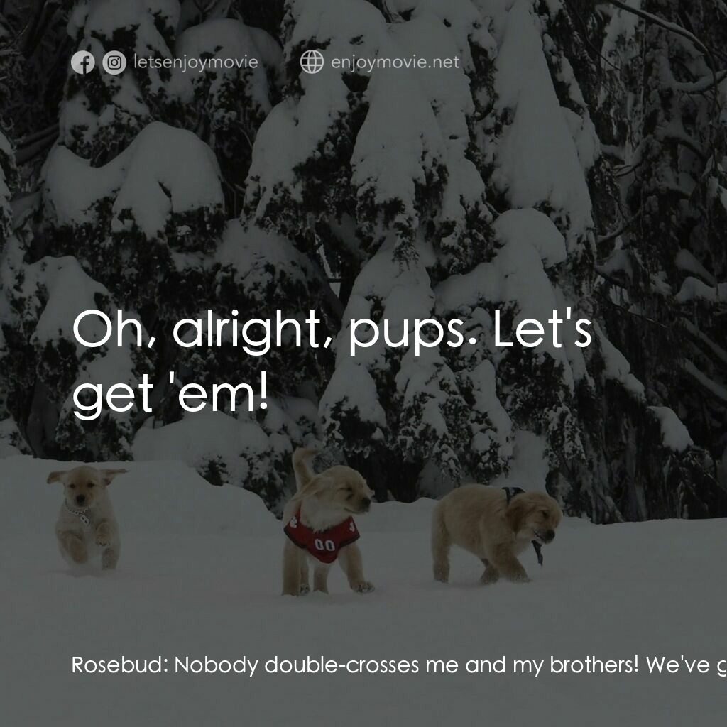 狗狗向前衝電影對白：Rosebud:  Nobody double-crosses me and my brothers! We've got to beat them! B-Daw