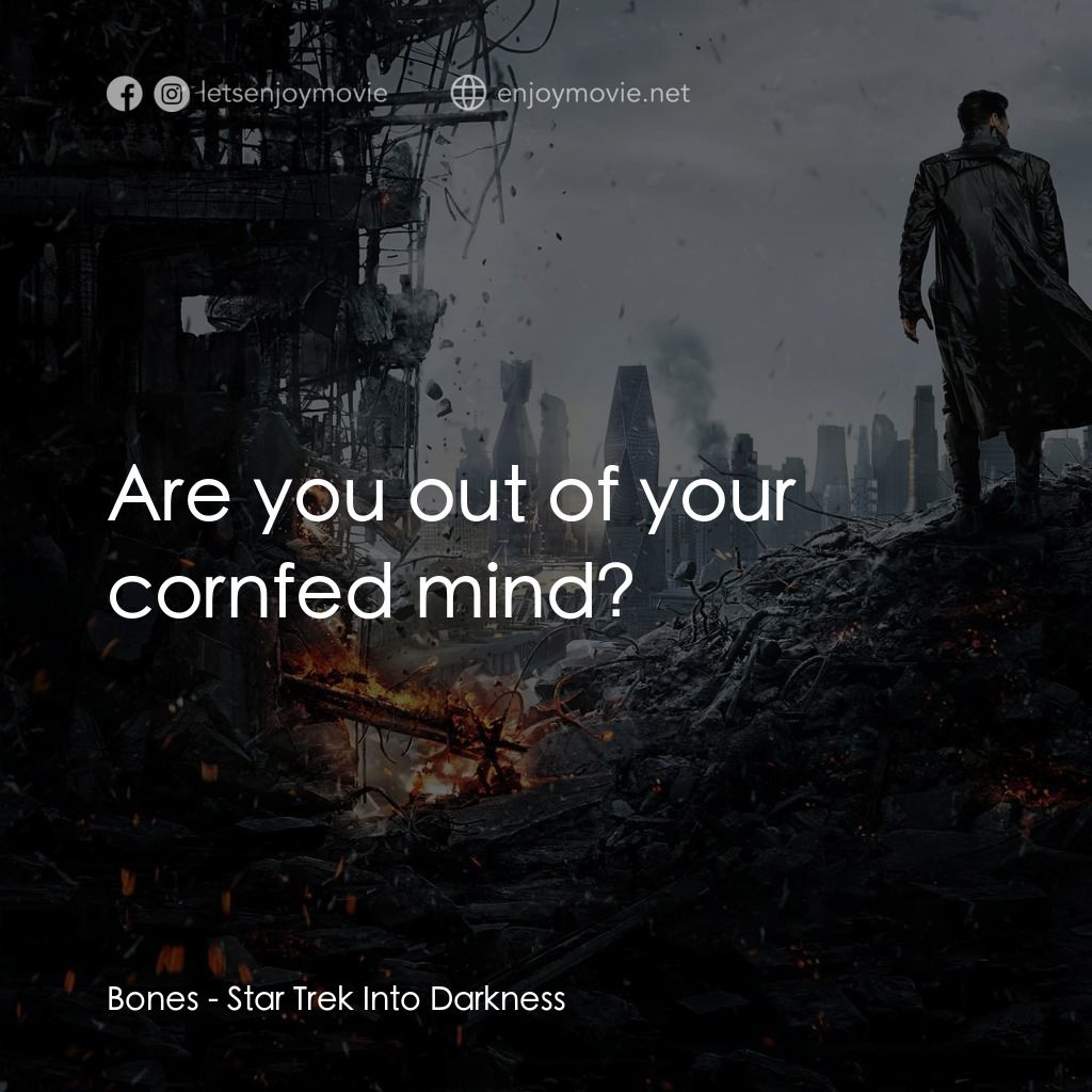 星際爭霸戰：闇黑無界電影對白：Bones: Are you out of your cornfed mind?