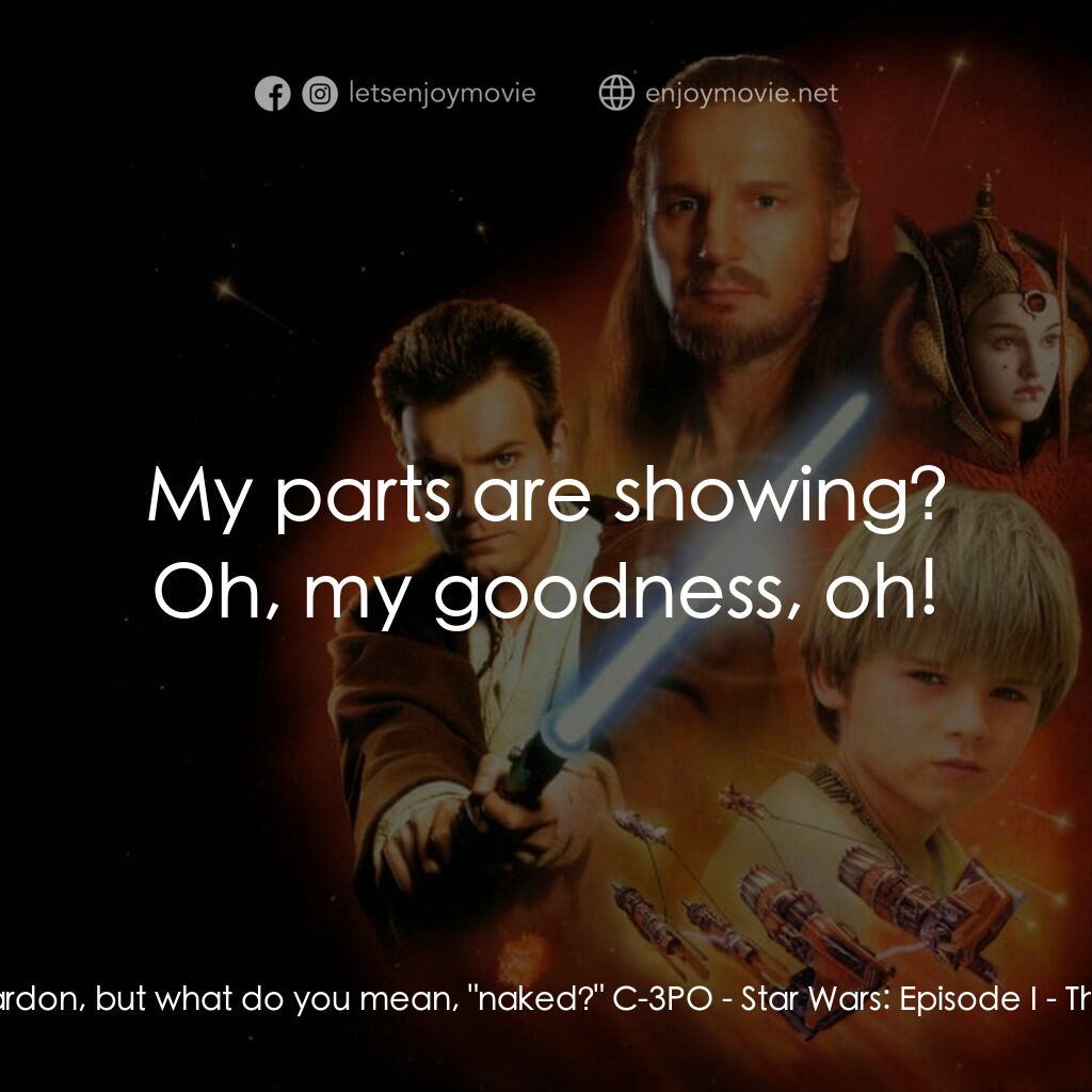星球大戰前傳：魅影危機電影對白：C-3PO:  I beg your pardon, but what do you mean, 