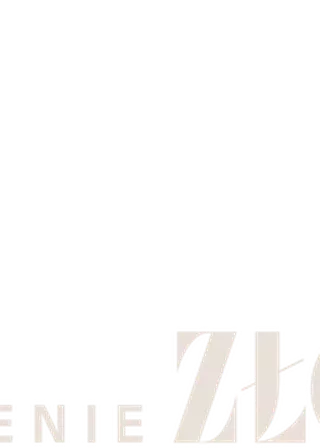 《馴悍記》電影海報