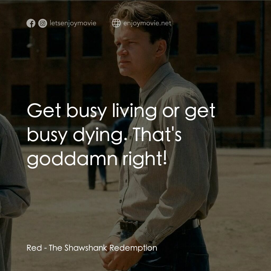 刺激 1995電影對白：Red:  Get busy living or get busy dying. That's goddamn right!