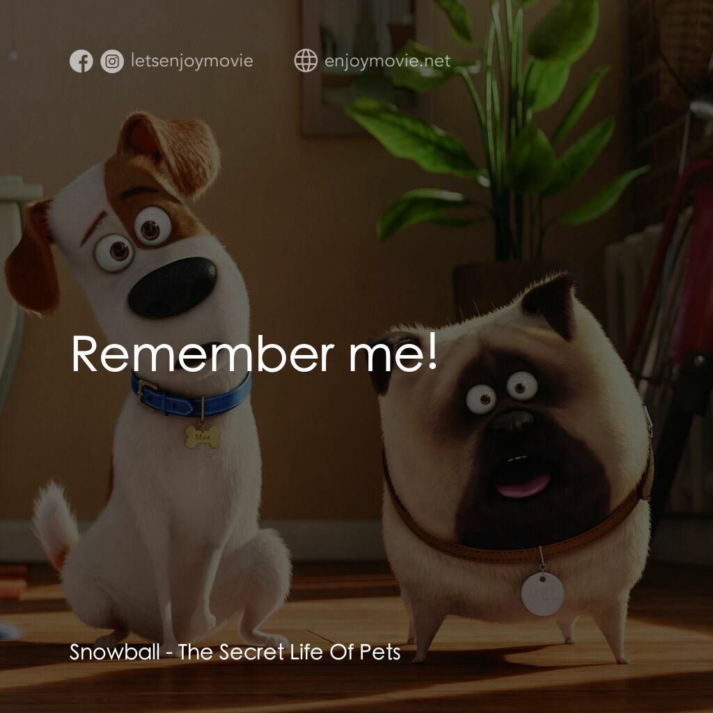 寵物當家電影對白：Snowball:  Remember me!