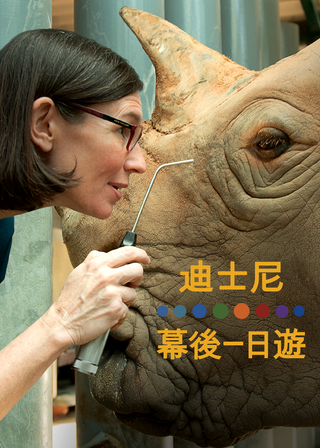 《迪士尼的幕後英雄》電影海報