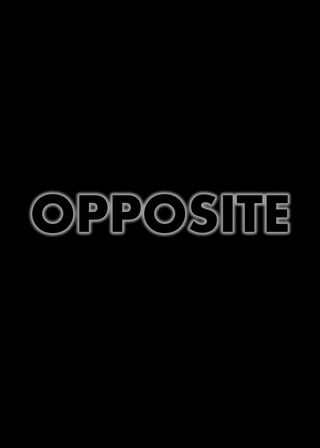 《Opposite》電影海報