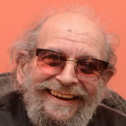 Dimitris Poulikakos 飾演 Inspector Thieu