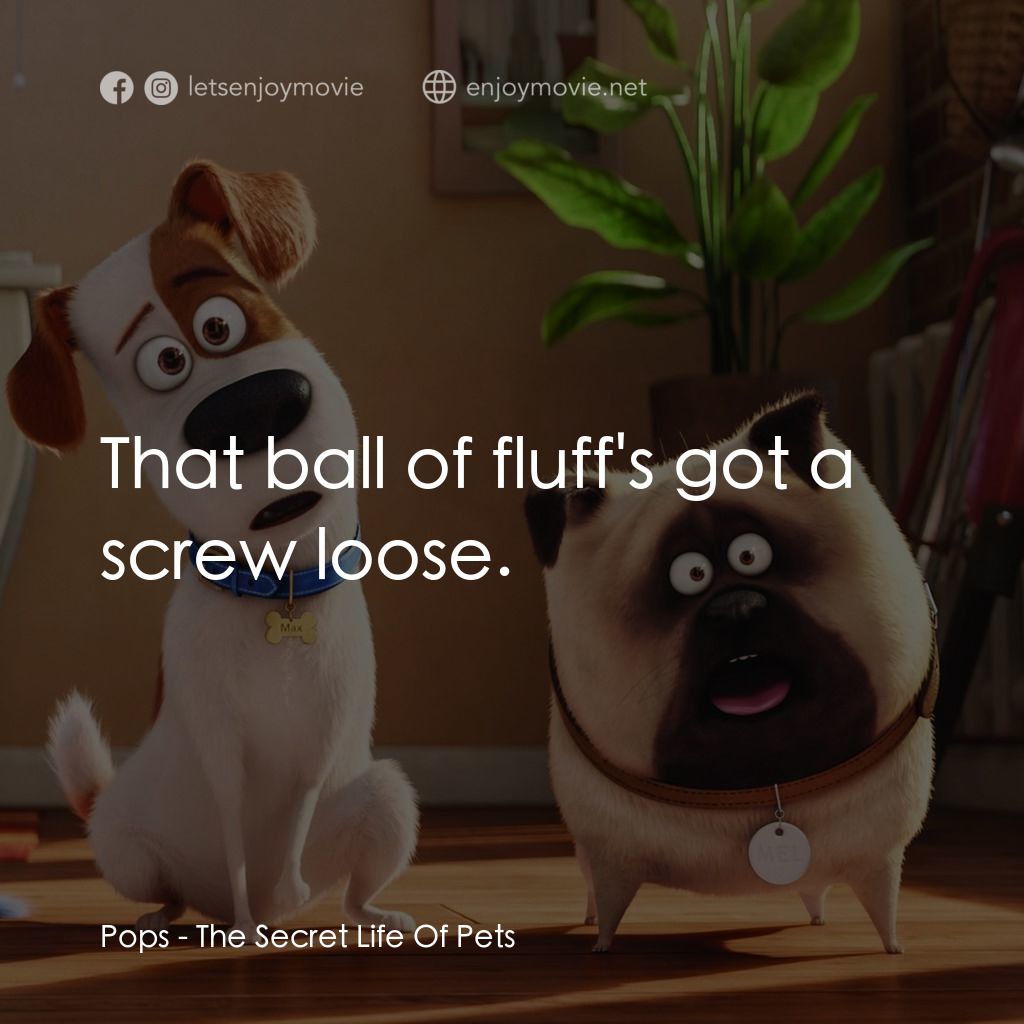寵物當家電影對白：Pops: That ball of fluff's got a screw loose.
