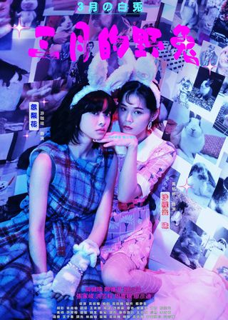 《三月的野兔》電影海報