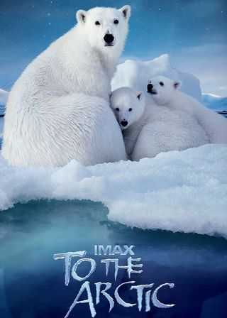 《To the Arctic 3D》電影海報