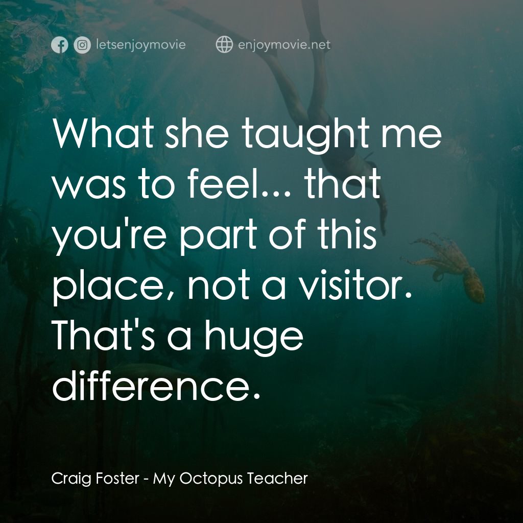 《我的八爪魚老師》經典台詞：Craig Foster: What she taught me was to feel... th ...