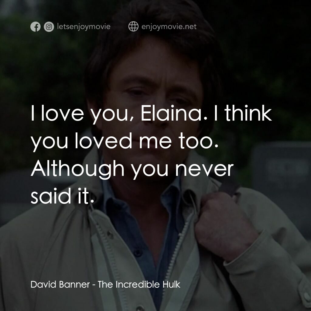 浩克：英雄將起電影對白：David Banner:  I love you, Elaina. I think you loved me too. Although you never s