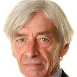 Rony Bridges - 誘餌新娘演員 飾演Roan