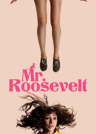 《羅斯福先生卡好》電影海報