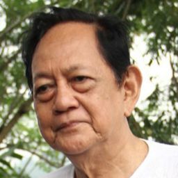 迪迪·蘇托莫 飾演 RM. Sosroningrat (RM. Adipati Ario Sosroningrat)