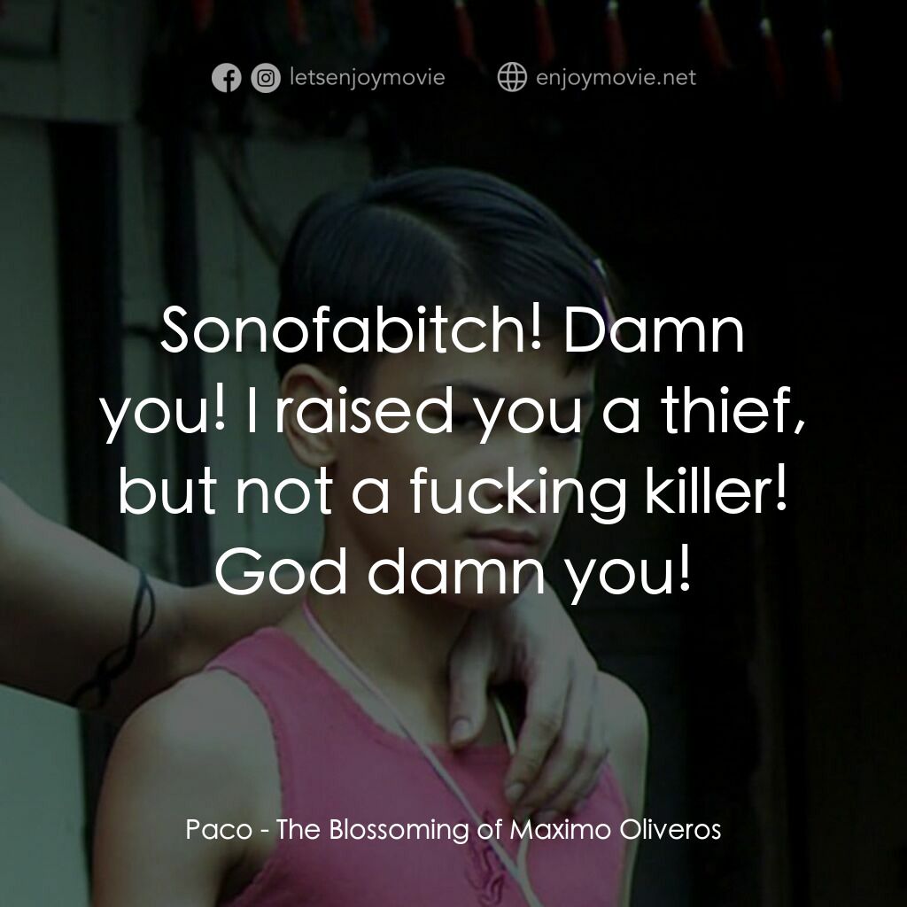 The Blossoming of Maximo Oliveros電影對白：Paco:  Sonofabitch! Damn you! I raised you a thief, but not a fucking killer! God