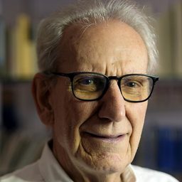 傑米·薛佛利 飾演 Txiki el Viejo