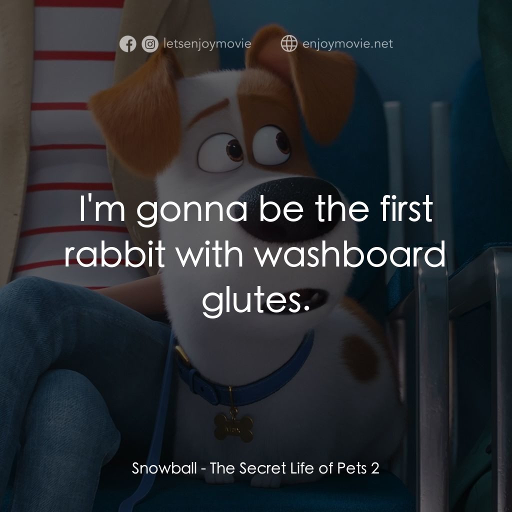 Pet Pet當家 2電影對白：Snowball: I'm gonna be the first rabbit with washboard glutes.