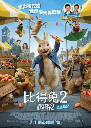 電影的資料