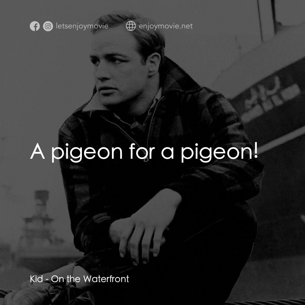 碼頭風雲電影對白：Kid:  A pigeon for a pigeon!