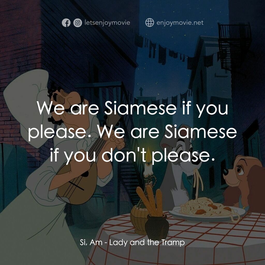 小姐與流氓電影對白：Si, Am:  We are Siamese if you please. We are Siamese if you don't please.