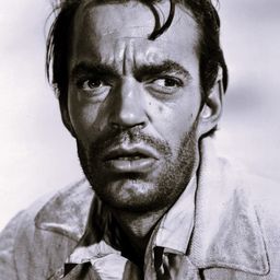 傑克·伊拉姆 飾演 Fargo