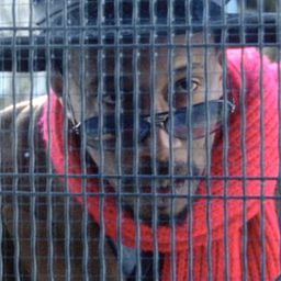 Archie Pool 飾演 of Myths