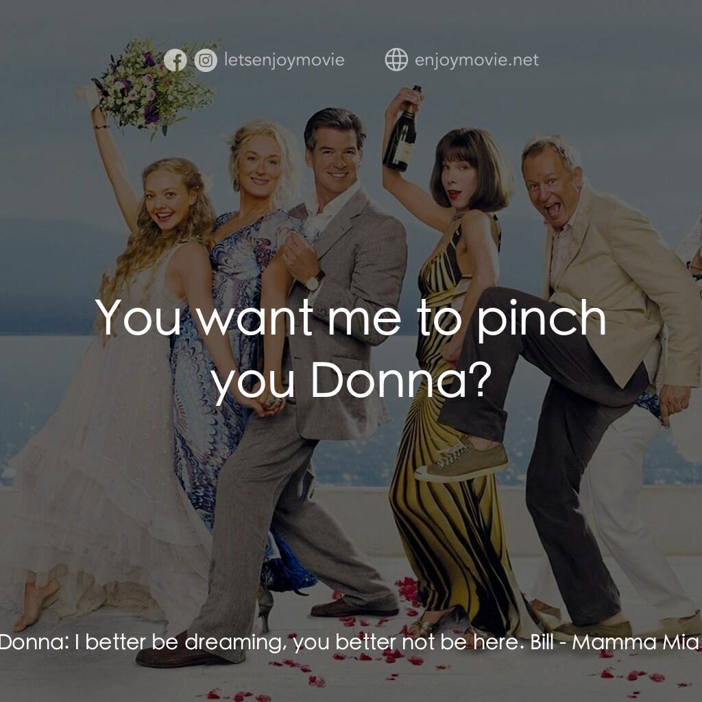 媽媽咪呀！電影對白：Donna:  I better be dreaming, you better not be here. Bill:  You want me to pinch