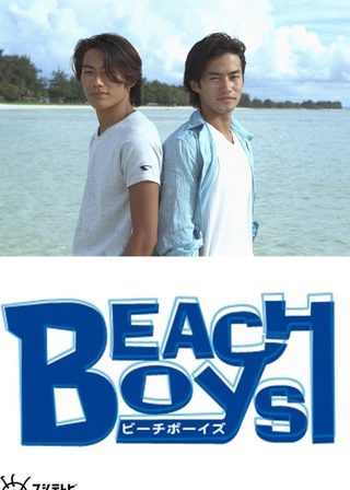 《Beach Boys Special》電影海報