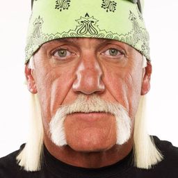 Hulk Hogan 飾演 Self