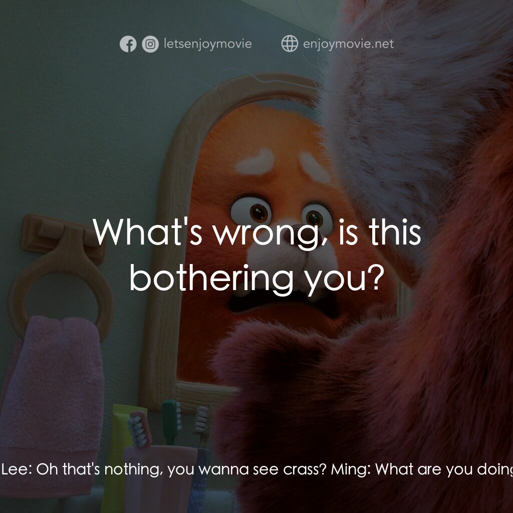 熊抱青春記電影對白：Ming:  How could you be so... so... CRASS? Meilin Lee:  Oh that's nothing, you wa